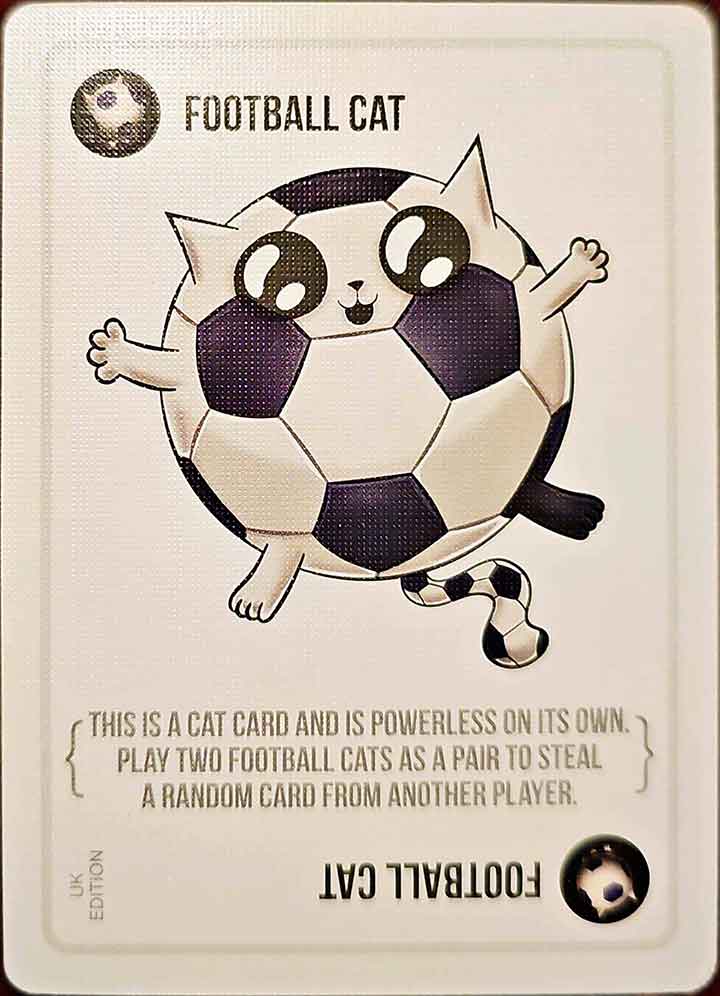 Cat Card - Variant 9