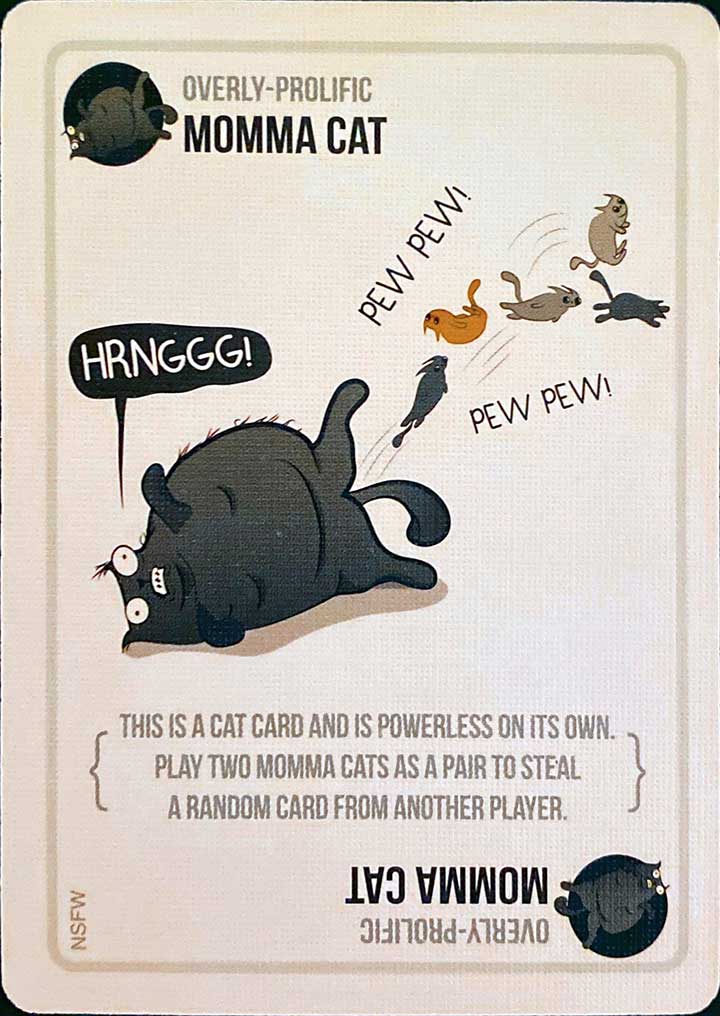 Cat Card - Variant 16